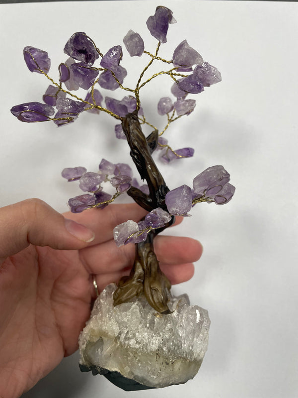 Amethyst Bonsai Tree