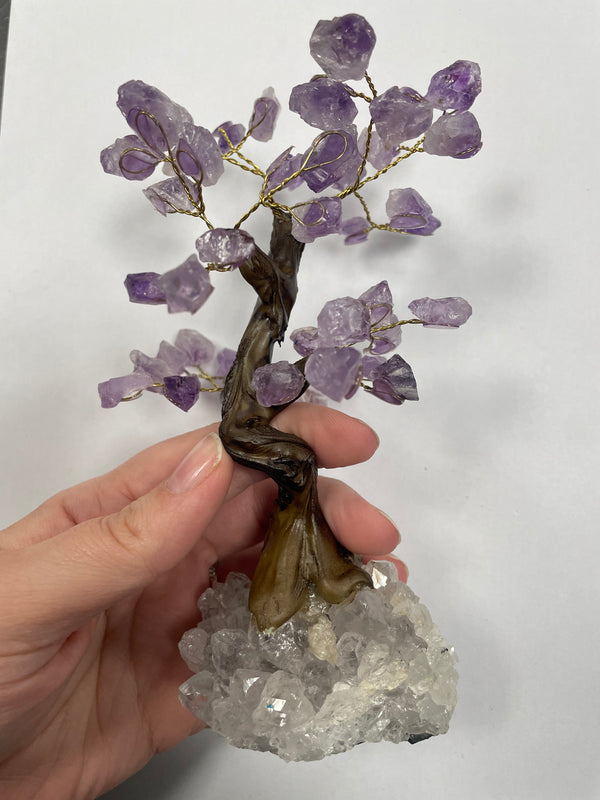 Amethyst Bonsai Tree