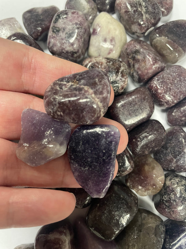 Lepidolite TS