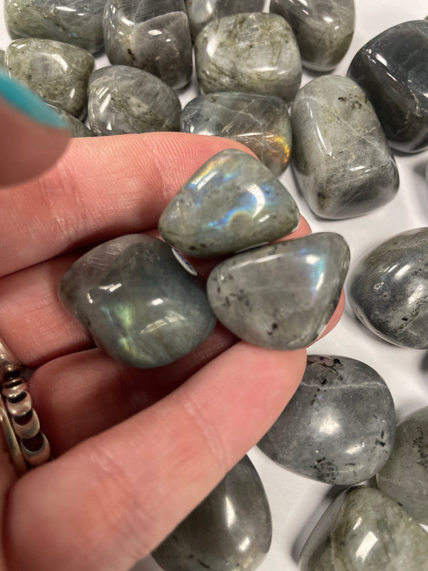 Labradorite TS