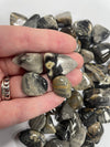 Silver Leaf Jasper TS