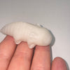 White Onyx Axolotl