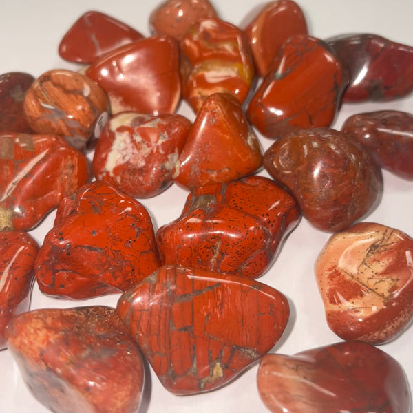 Brecciated Jasper TS