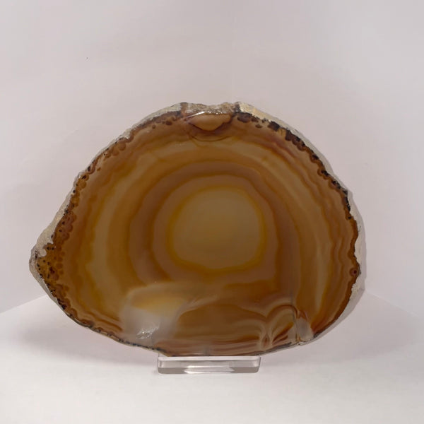 Large Agate Slice