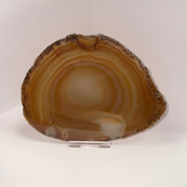 Large Agate Slice