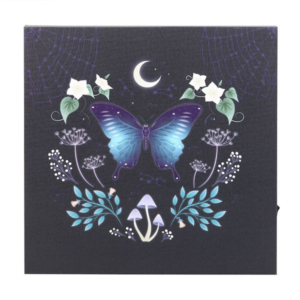 Midnight Moth Light Up Canvas