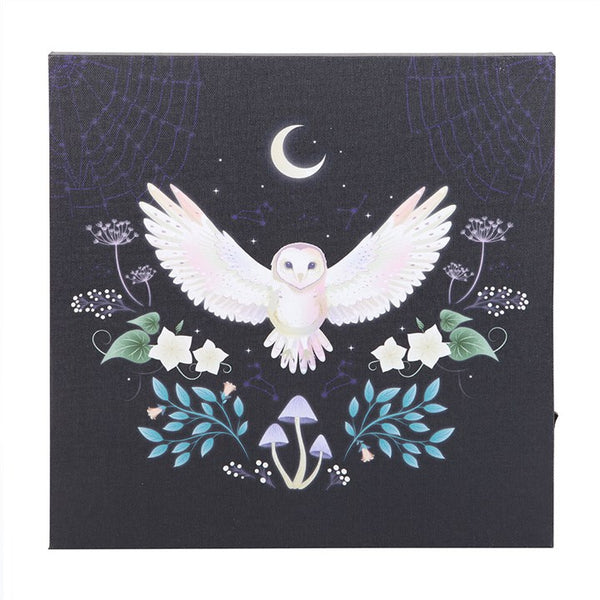 Night Owl Light up Canvas