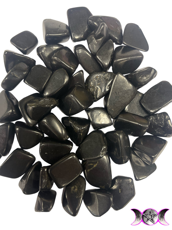 Shungite TS