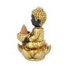 Baby Buddha Backflow