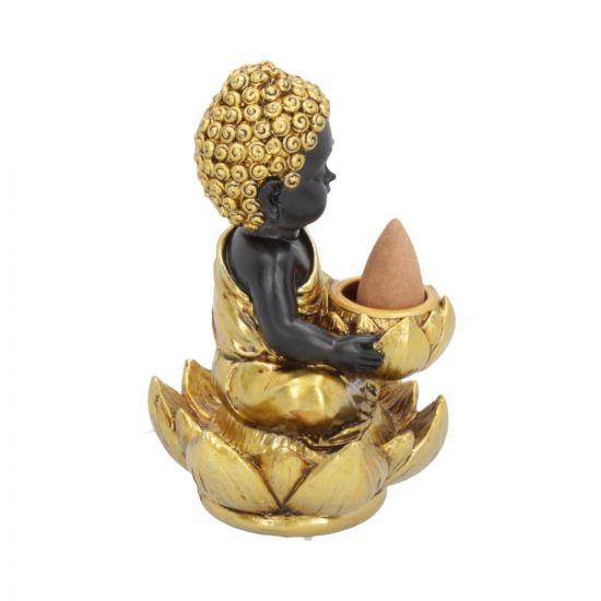 Baby Buddha Backflow