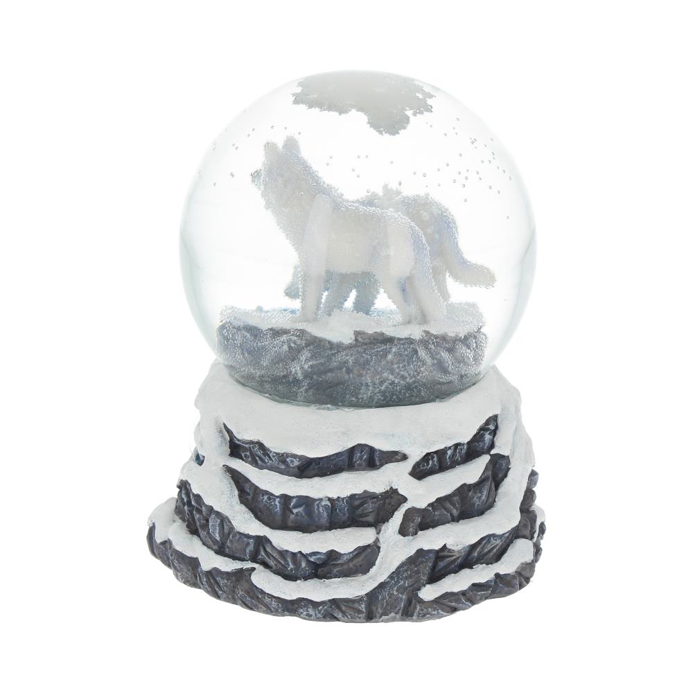 Warriors of Winter Snowglobe