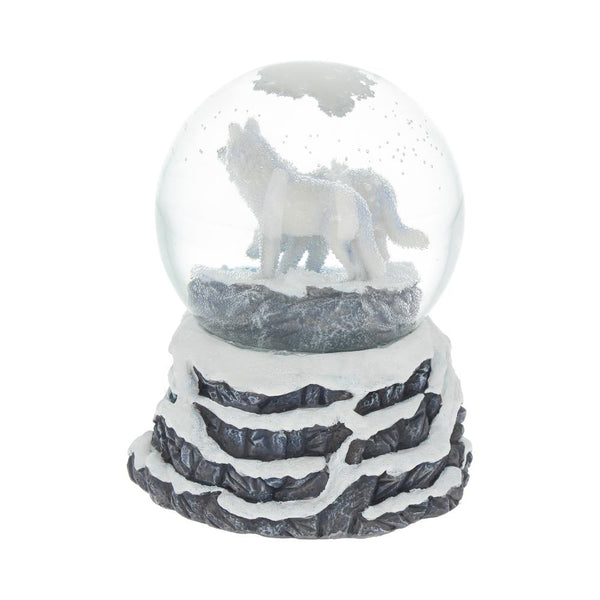 Warriors of Winter Snowglobe