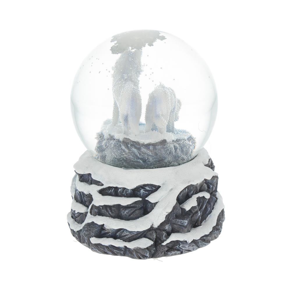 Warriors of Winter Snowglobe