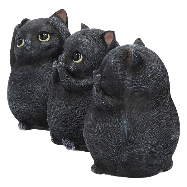 Three Wise Fat Cats