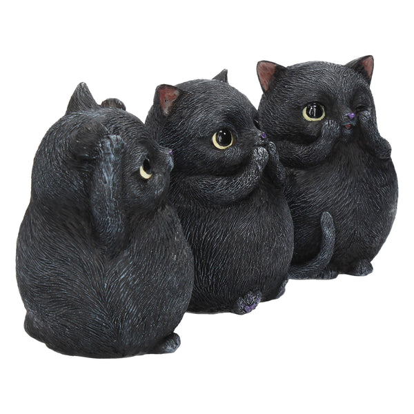 Three Wise Fat Cats