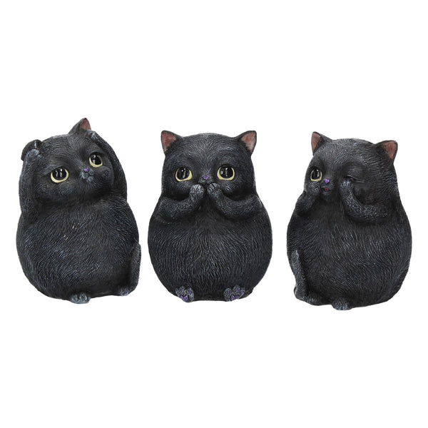 Three Wise Fat Cats