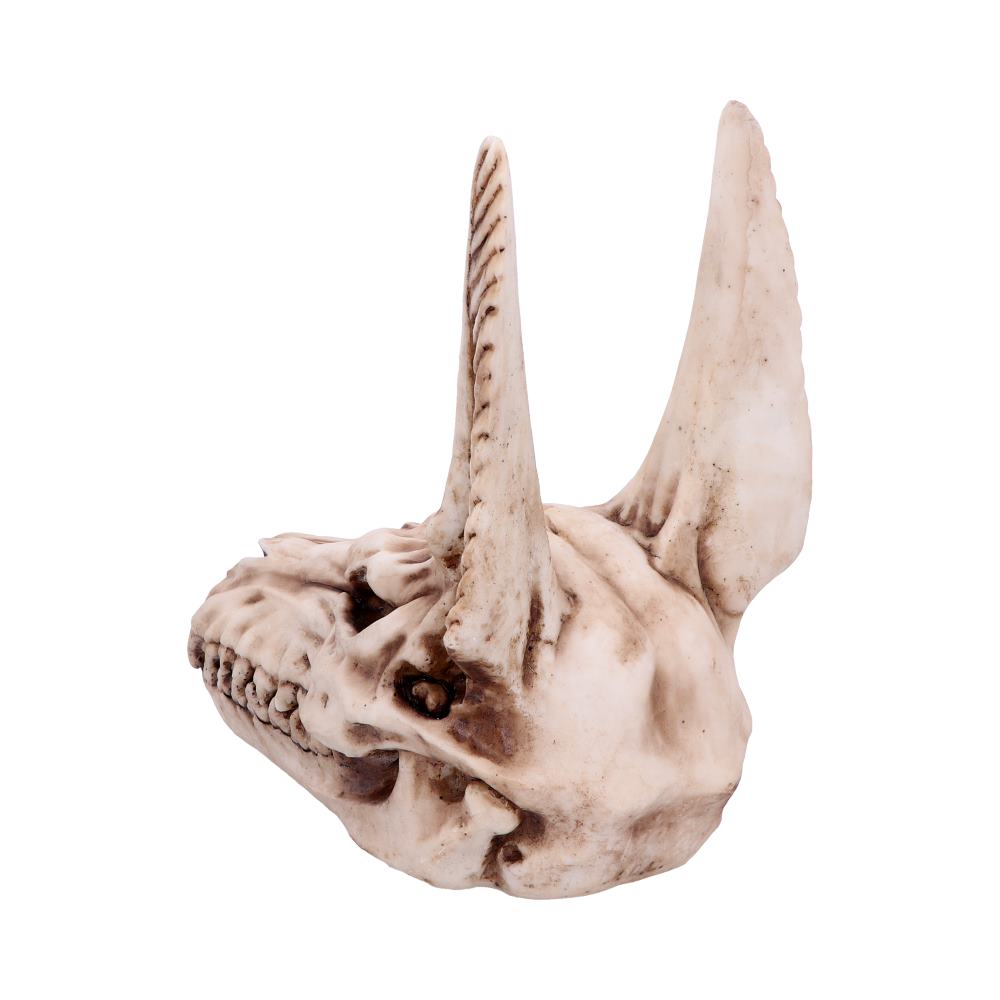 Anubis Skull