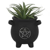 Pentagram Plant Pot