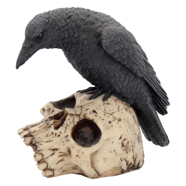 Ravens Remains