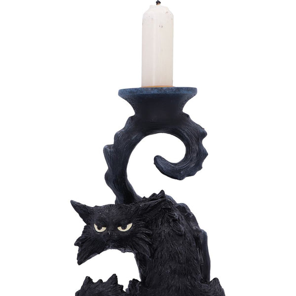 Spite Candlestick Holder